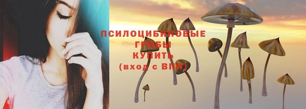 круглые Тайга