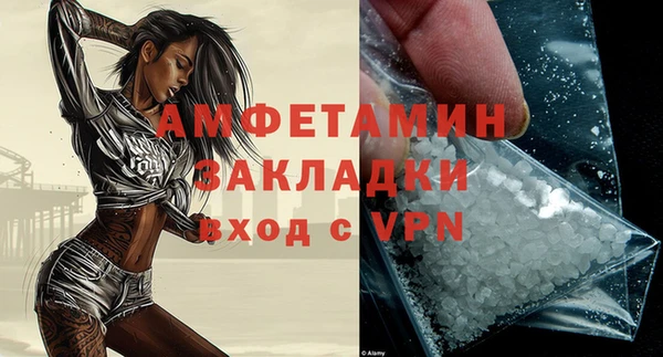индика Тавда
