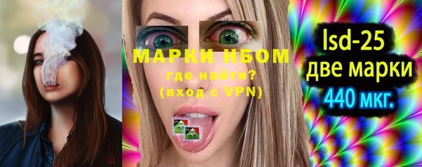 индика Тавда