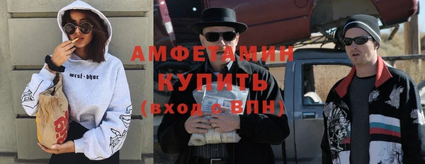 гидра Вязьма