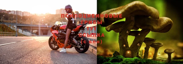 первитин Тихвин